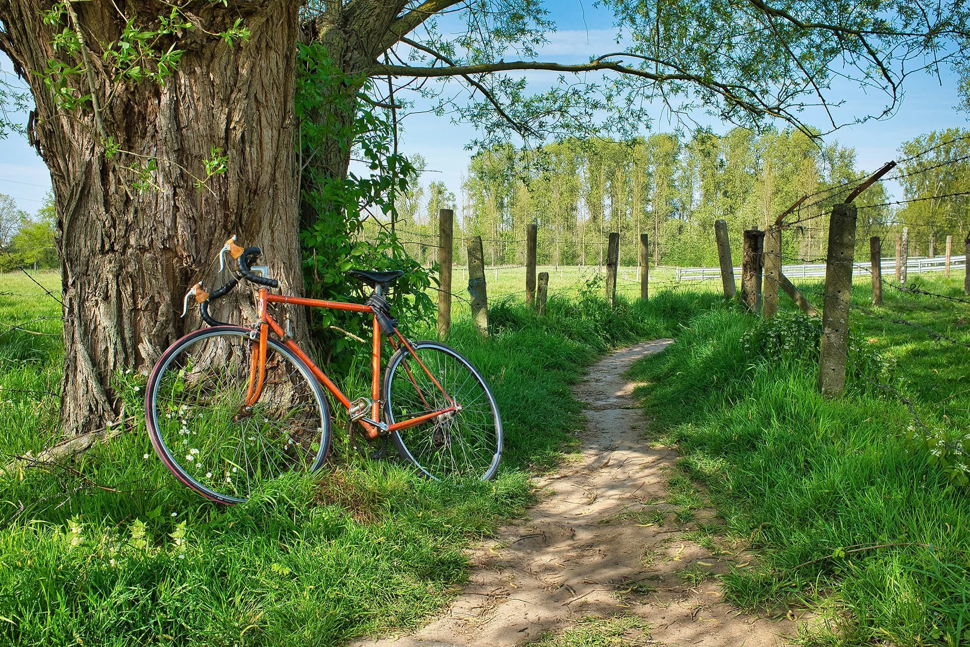 Top 10 cyklistických tras: Objevte krásy naší země na kole