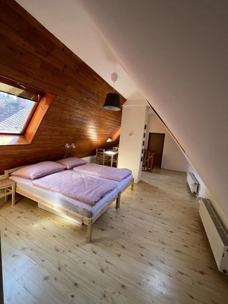 Šestilůžkový pokoj 401