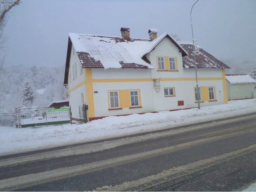 Pension č. 228